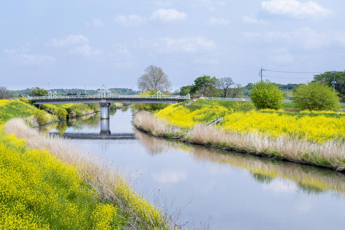 さいたま市見沼区の風景